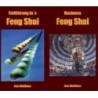 Einführung & Business Feng Shui - 2 teiliges DVD Set